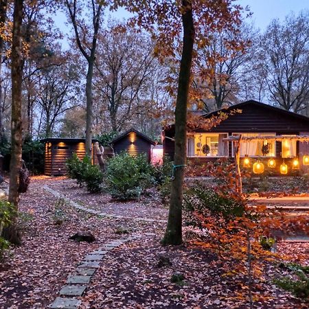 Lodge In Een Bosrijke Omgeving Met Hottub & Sauna Opt Rheezerveen Екстер'єр фото