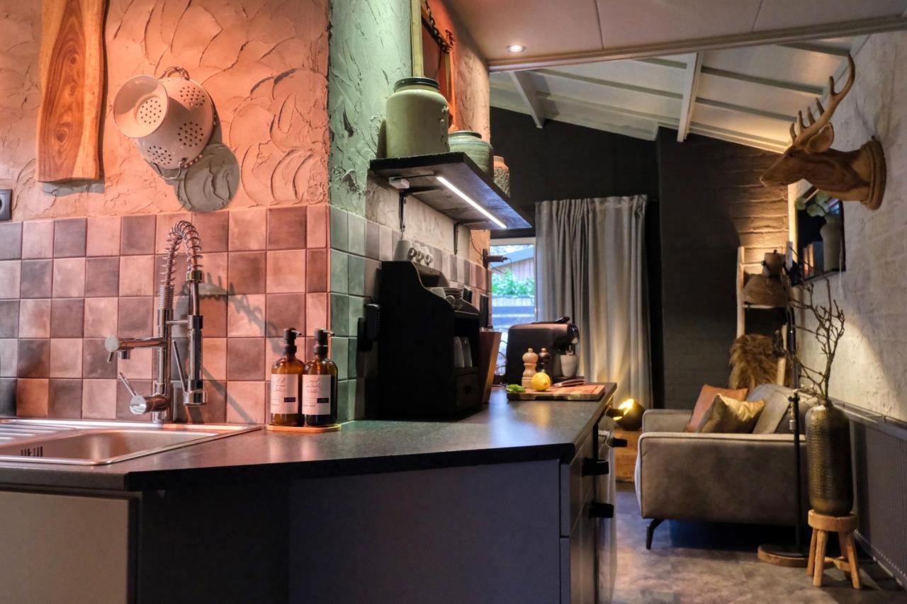 Lodge In Een Bosrijke Omgeving Met Hottub & Sauna Opt Rheezerveen Екстер'єр фото