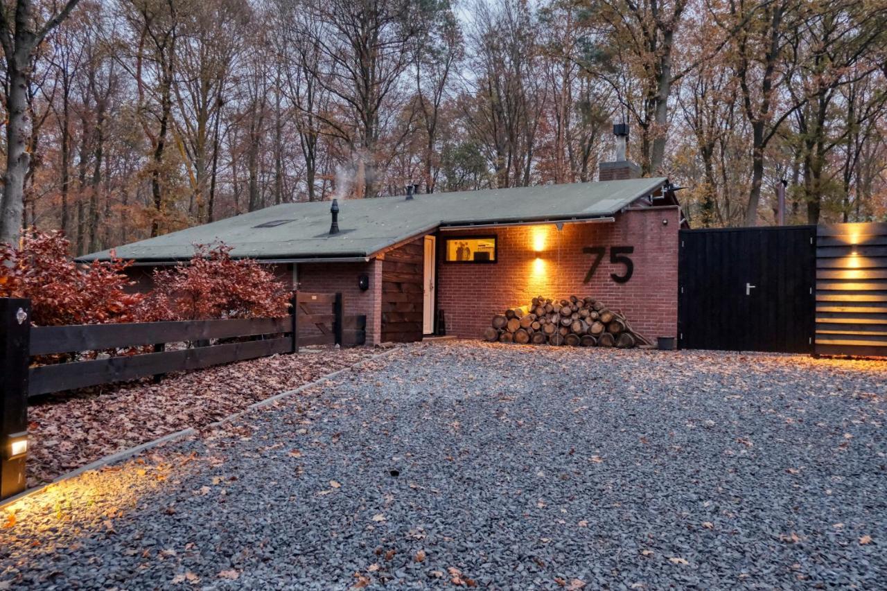 Lodge In Een Bosrijke Omgeving Met Hottub & Sauna Opt Rheezerveen Екстер'єр фото