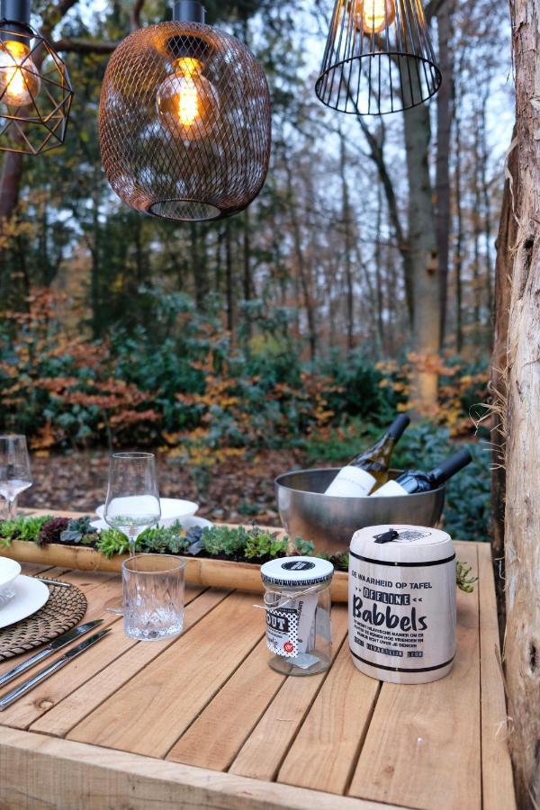 Lodge In Een Bosrijke Omgeving Met Hottub & Sauna Opt Rheezerveen Екстер'єр фото